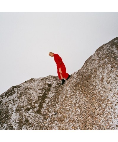 Cate Le Bon Reward Vinyl Record $8.21 Vinyl