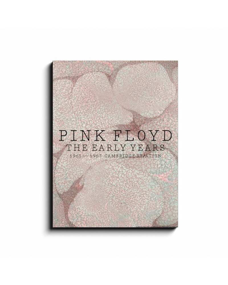 Pink Floyd Wall Art | Cambridge Station Canvas Wrap $27.58 Decor