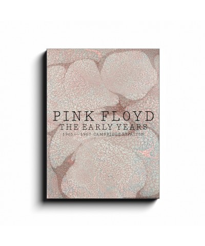 Pink Floyd Wall Art | Cambridge Station Canvas Wrap $27.58 Decor