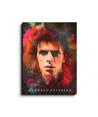 David Bowie Wall Art | Moonage Daydream By Mick Rock Canvas Wrap $20.98 Decor