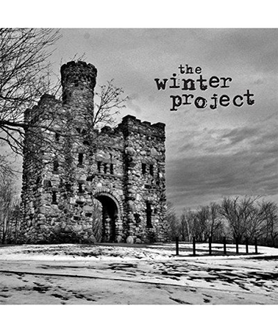 The Winter Project Vinyl Record $4.03 Vinyl