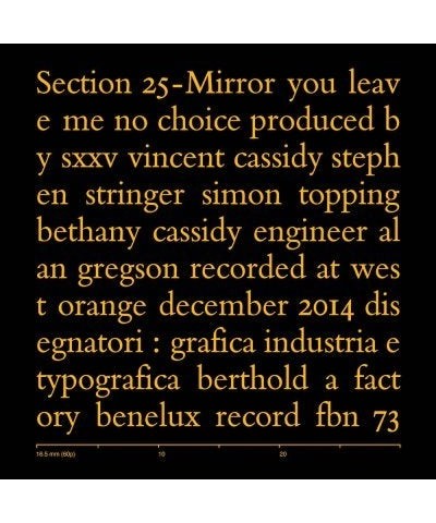 Section 25 Mirror Vinyl Record $4.00 Vinyl