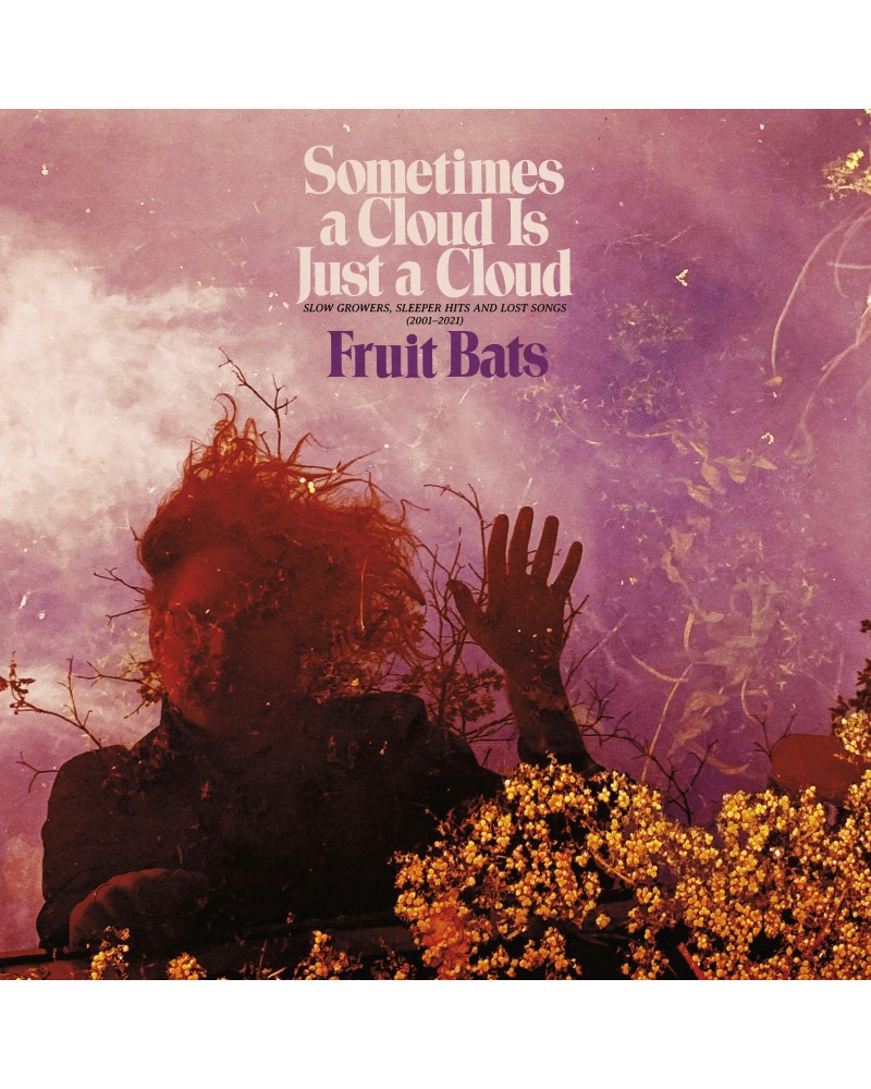 Fruit Bats SOMETIMES A CLOUD IS JUST A CLOUD: SLOW GROWERS (2LP) Vinyl Record $10.15 Vinyl