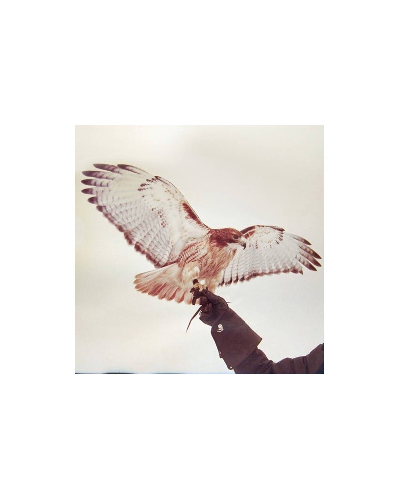 Jm Airis Wild Birds Vinyl Record $7.41 Vinyl